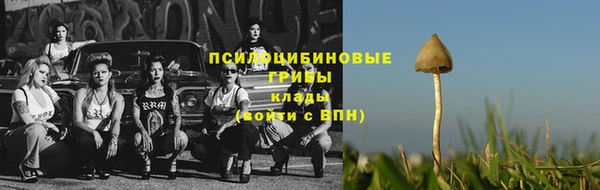 мяу мяу мука Алзамай