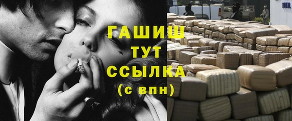 гидра Осинники